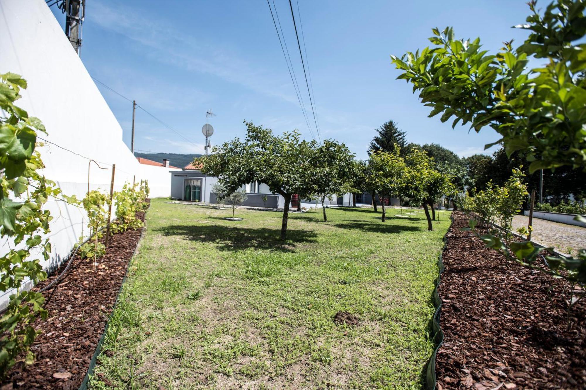 Quinta Do Pomar Pomar Farm Villa Briteiros Екстериор снимка