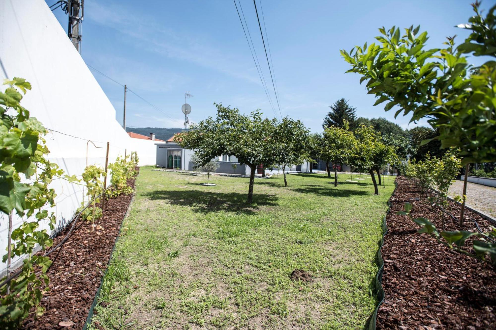 Quinta Do Pomar Pomar Farm Villa Briteiros Екстериор снимка