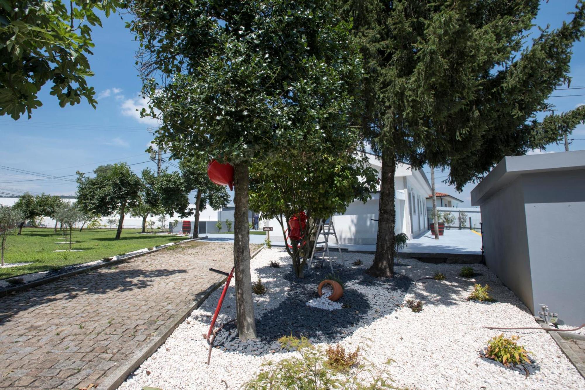 Quinta Do Pomar Pomar Farm Villa Briteiros Екстериор снимка