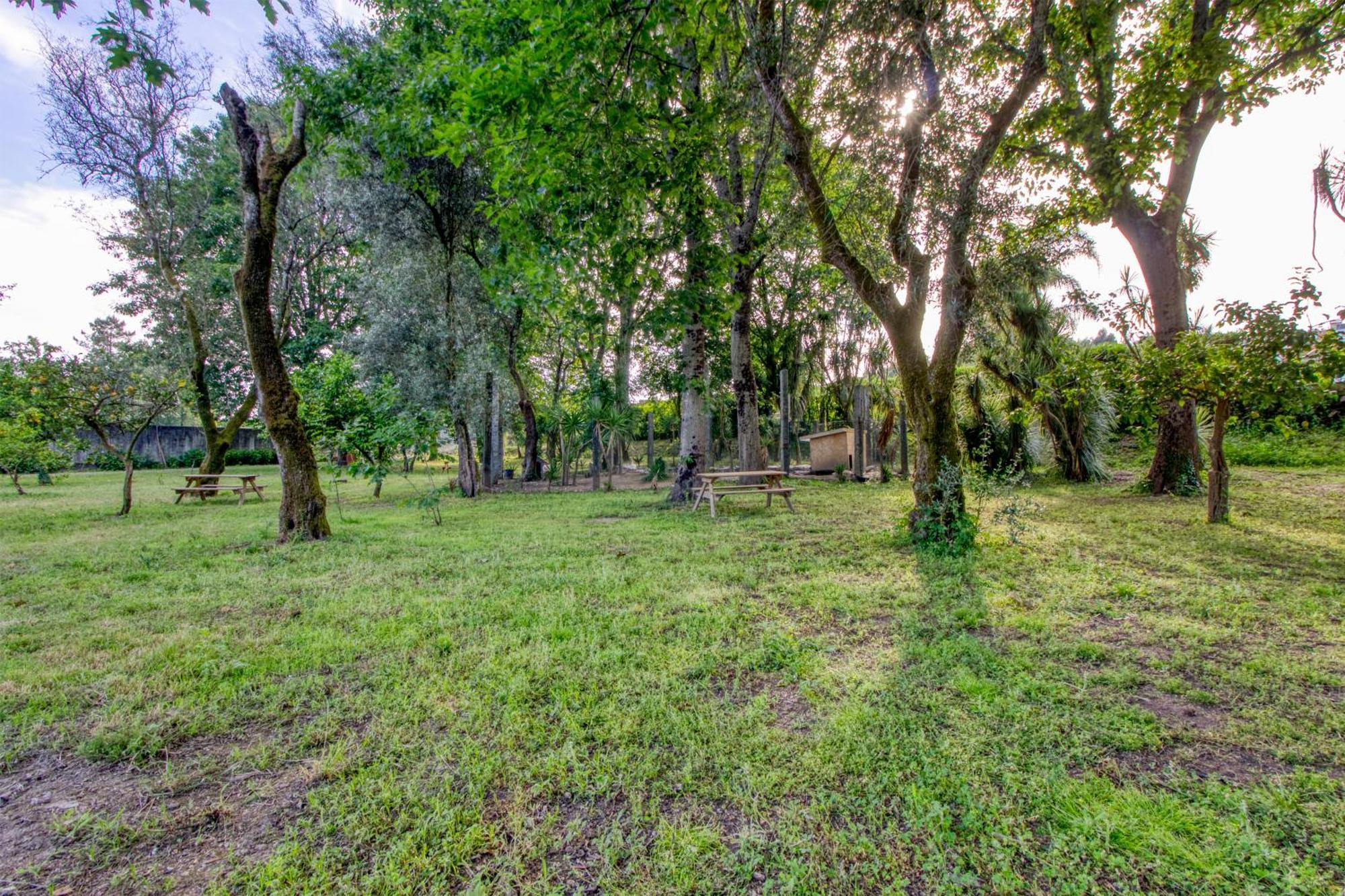 Quinta Do Pomar Pomar Farm Villa Briteiros Екстериор снимка